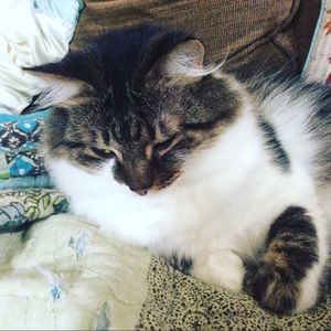 Meet your Posher, Bethany